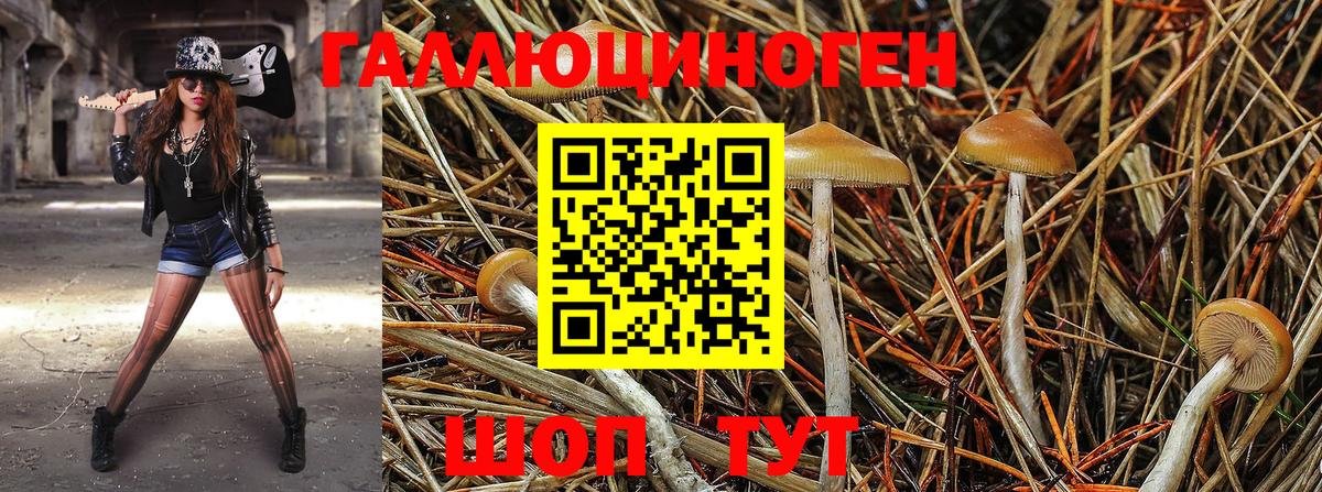 Галлюциногенные грибы мицелий  Вход с VPN  Севастополь 